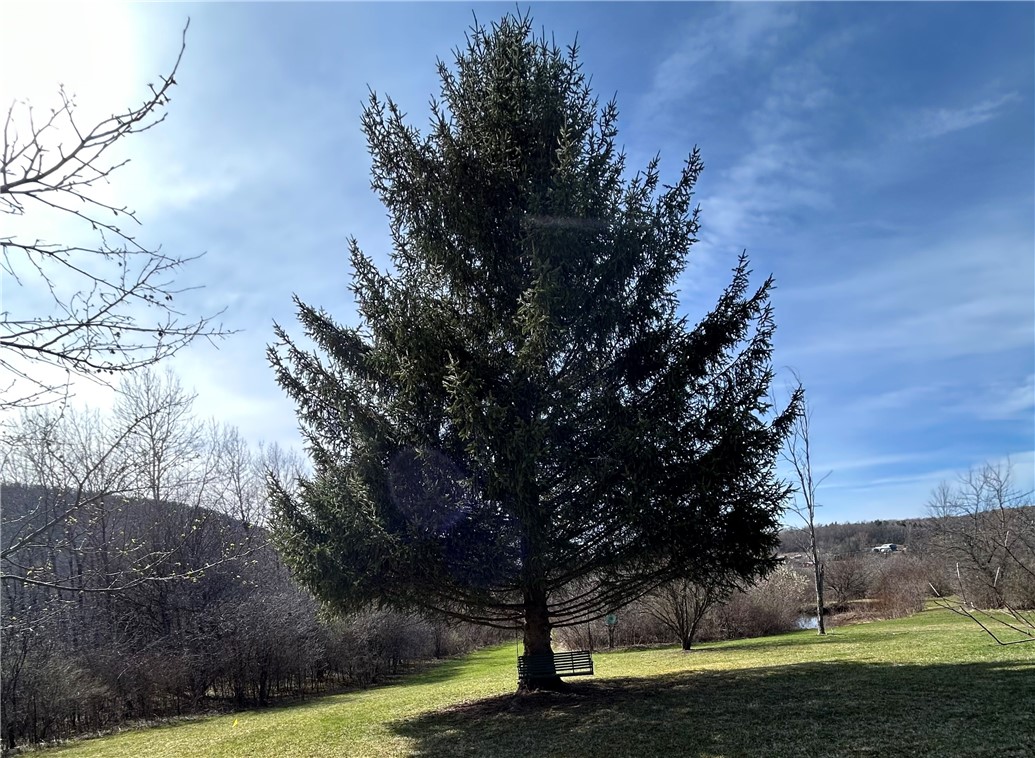 1128 County Road 16, Smyrna, New York image 20