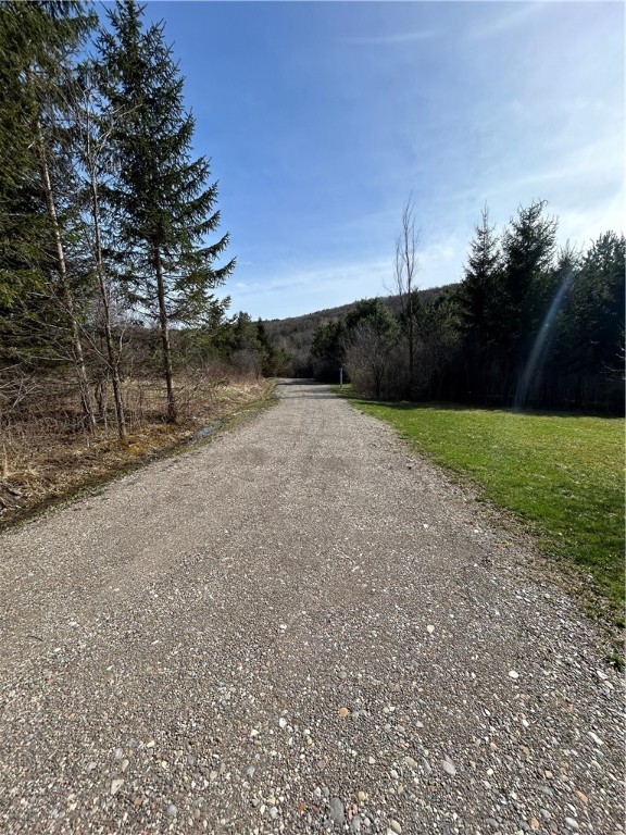 1128 County Road 16, Smyrna, New York image 19
