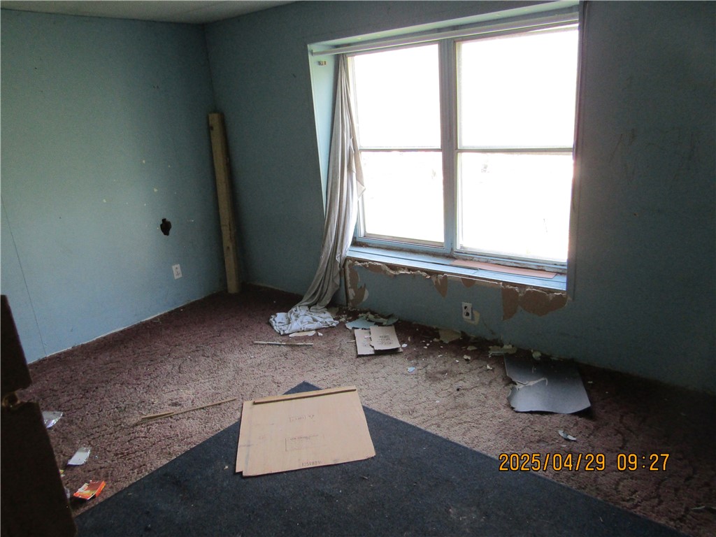 10171 Browntown Road, Lindley, New York image 14