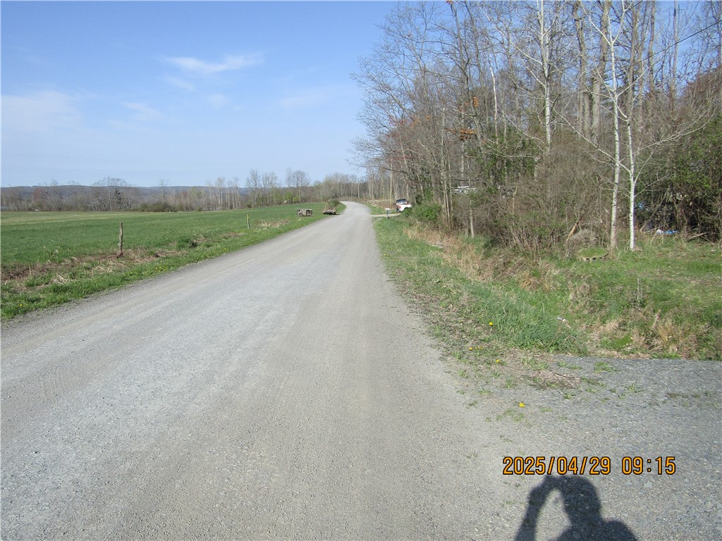 10171 Browntown Road, Lindley, New York image 2