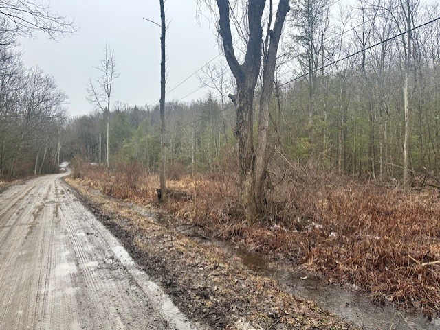 Photo 1 of 3 — 0 Spring Road S, West Sparta, NY 14437