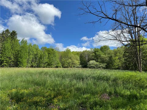 Vacant Land For Sale - 1104 Downey Road<br/> Otego, NY 13825