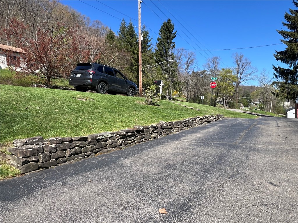 204 Parkwood Avenue, Elmira, New York image 3