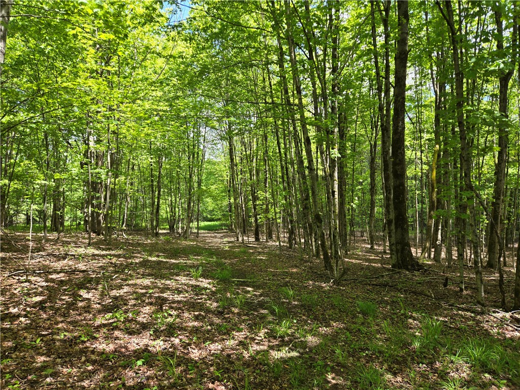 568 Country Road, Davenport, New York image 39