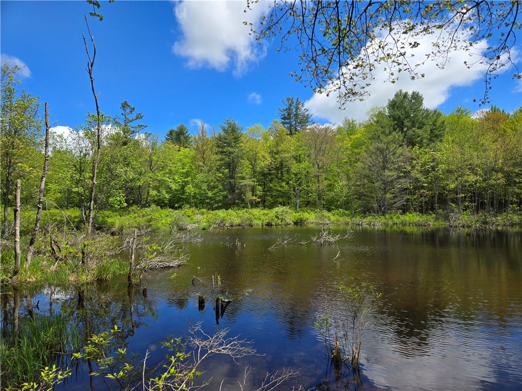 568 Country Road, Davenport, New York image 48