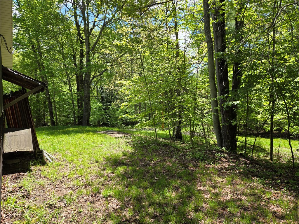 568 Country Road, Davenport, New York image 12