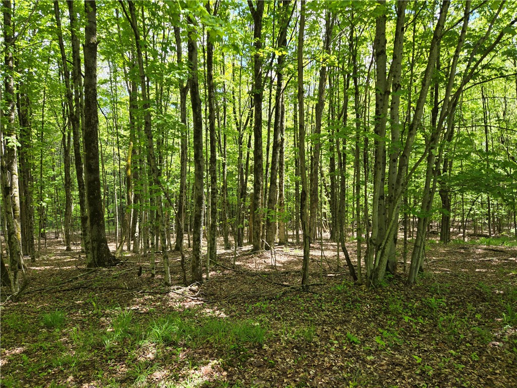 568 Country Road, Davenport, New York image 40