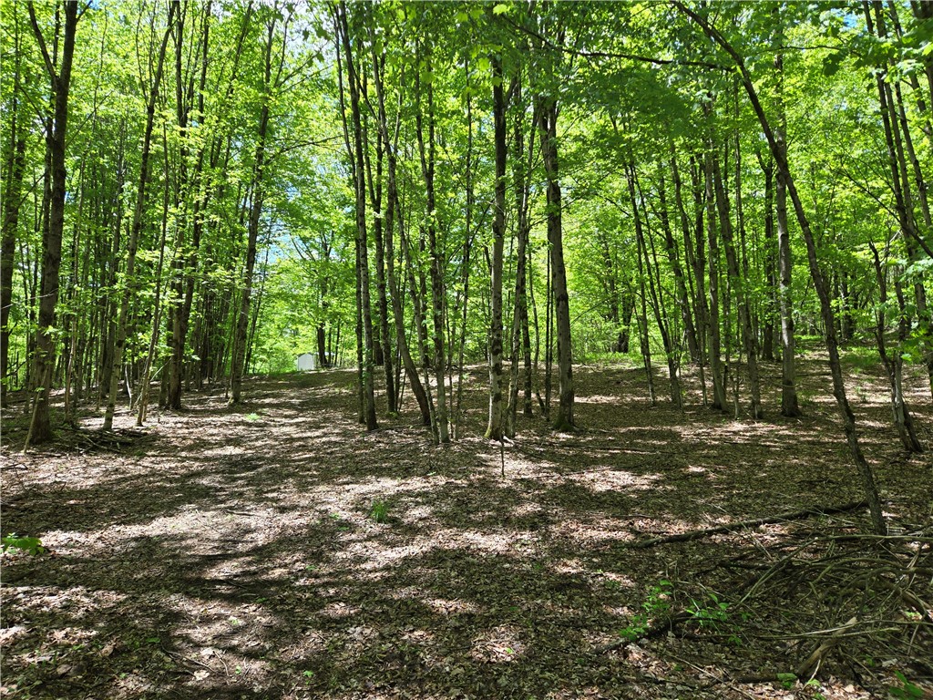 568 Country Road, Davenport, New York image 38