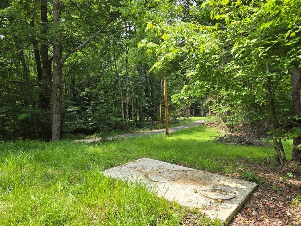 568 Country Road, Davenport, New York image 13