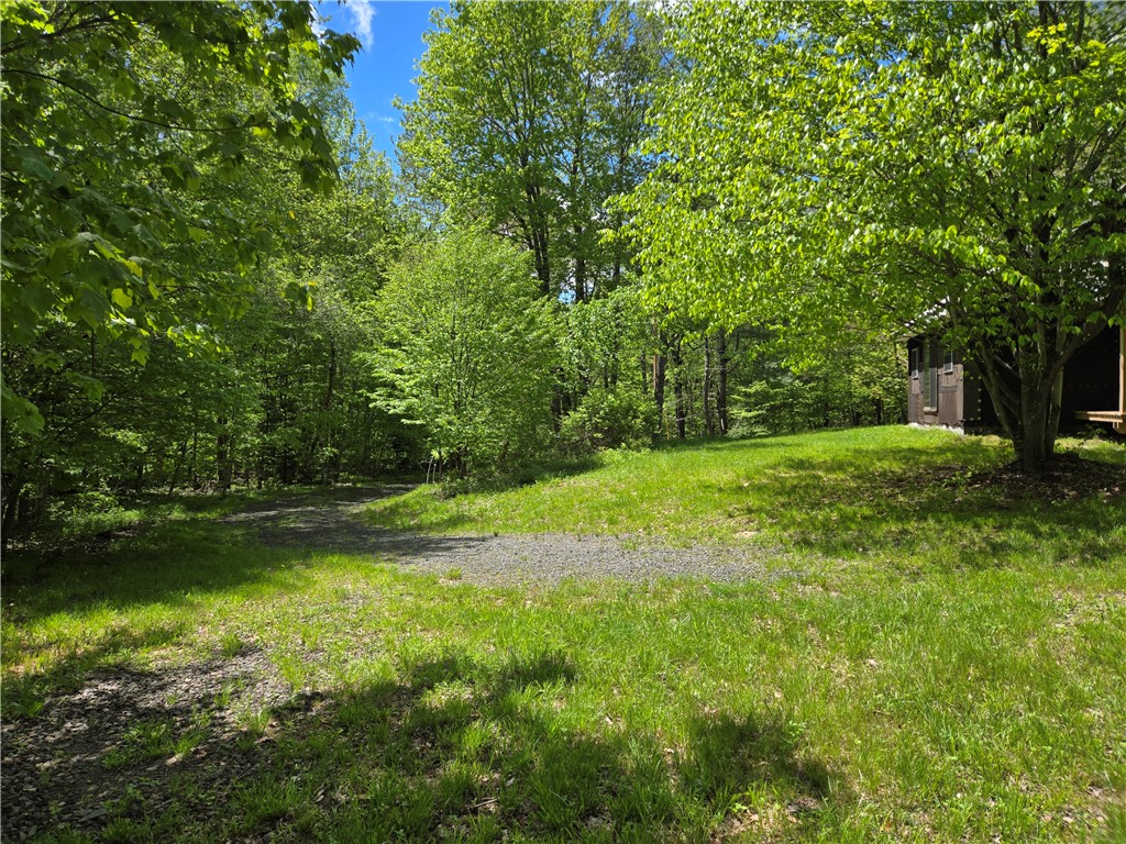 568 Country Road, Davenport, New York image 6