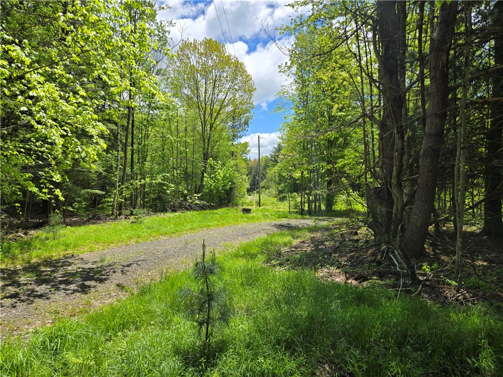 568 Country Road, Davenport, New York image 2