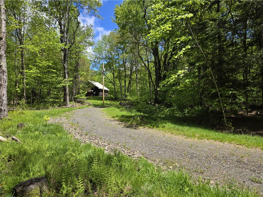 568 Country Road, Davenport, New York image 3