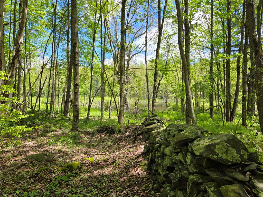 568 Country Road, Davenport, New York image 47