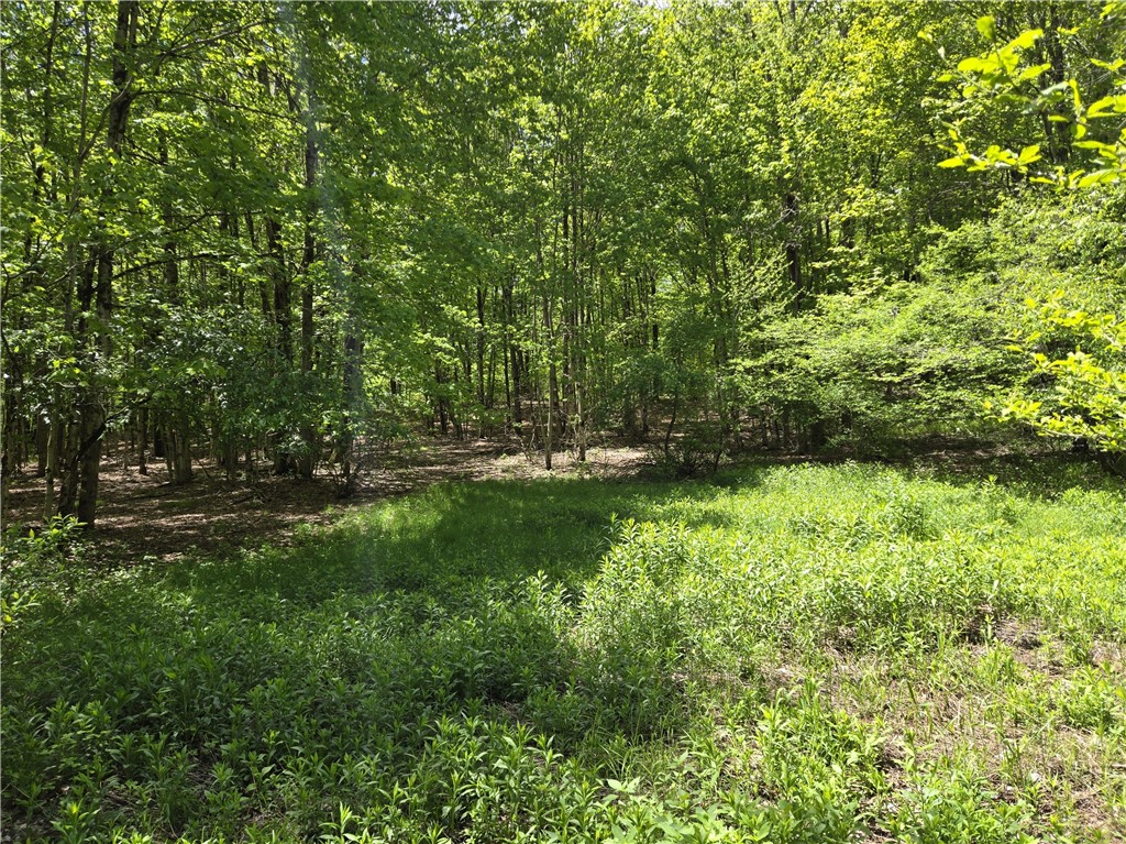 568 Country Road, Davenport, New York image 45