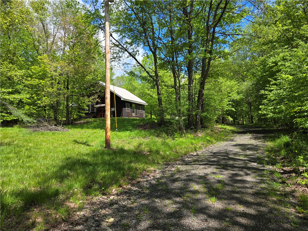 568 Country Road, Davenport, New York image 4