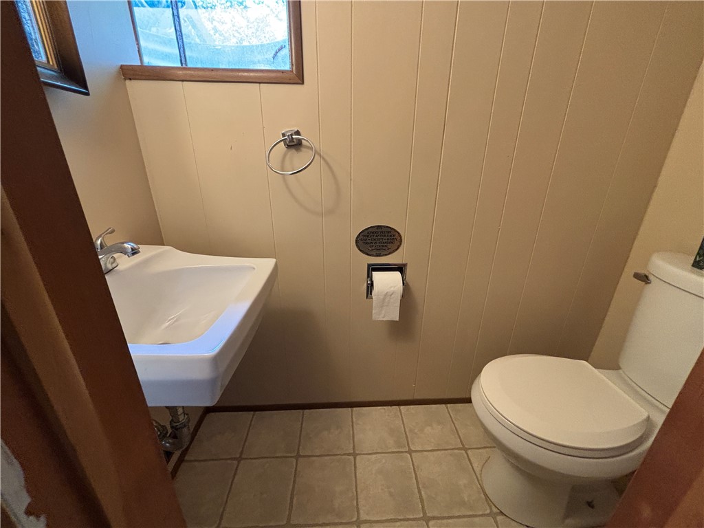 46 Dickerson Street, Lyons, New York image 22