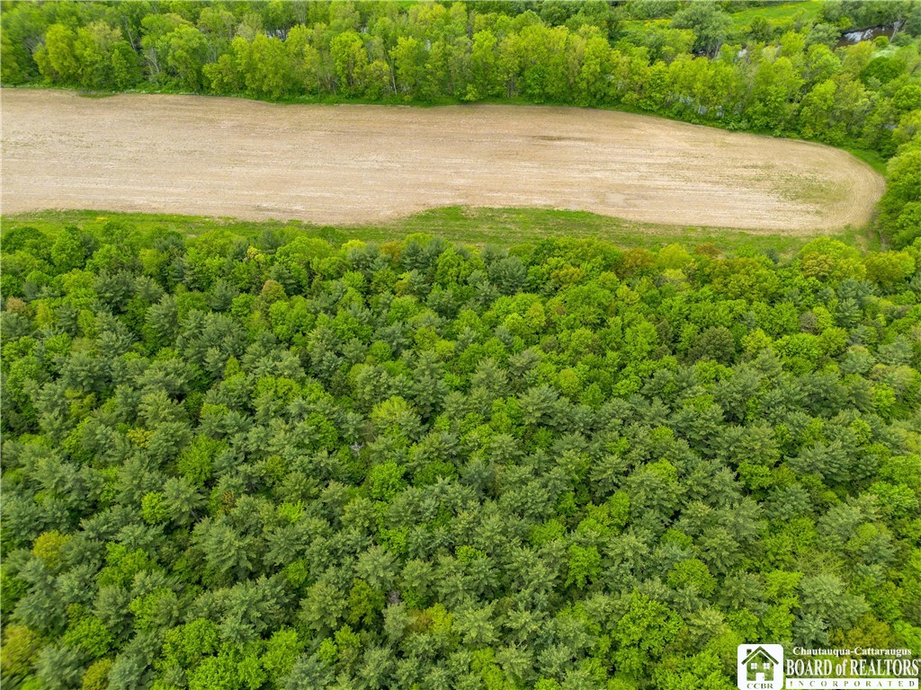 Part Of 3051 S 62, Poland, New York image 6