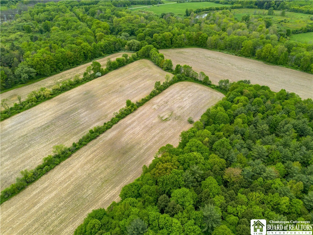 Part Of 3051 S 62, Poland, New York image 3
