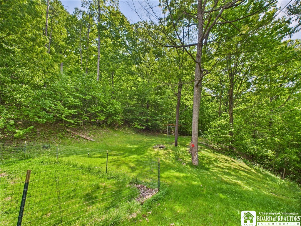 158 Hawthorn Lane, Allegany, New York image 42