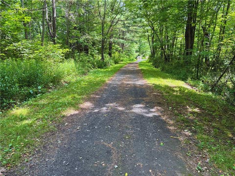 Tiny photo for 15 W End Avenue, Harpersfield, NY 12167 (MLS # R1697711)