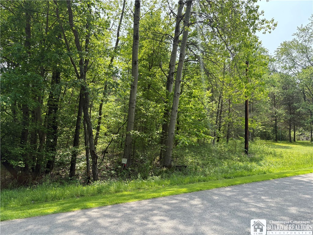 Burton road