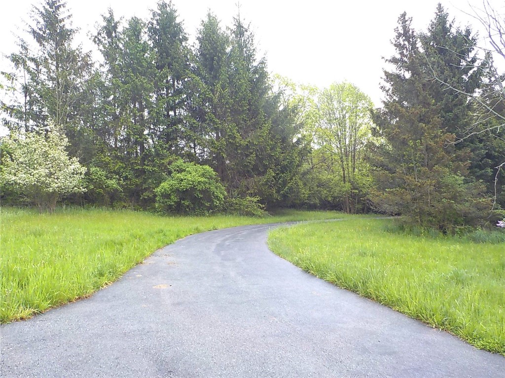 6900 White Road, Conesus, New York image 3