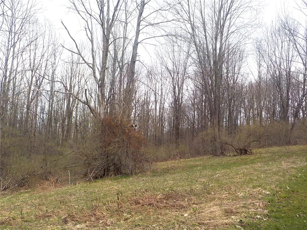 6900 White Road, Conesus, New York image 27