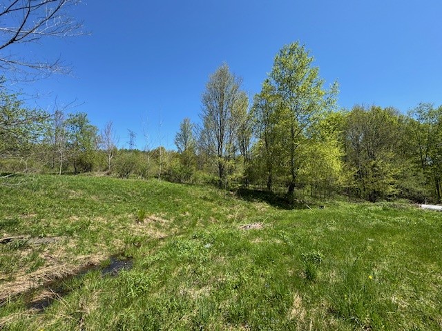 64 Olin Evans Road, Franklin, New York image 21
