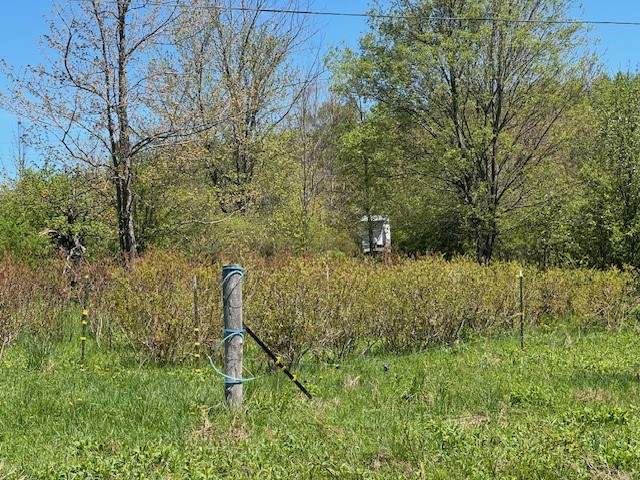 64 Olin Evans Road, Franklin, New York image 37