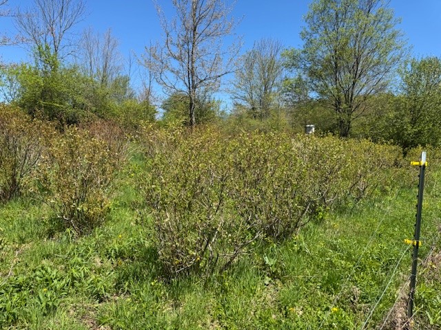 64 Olin Evans Road, Franklin, New York image 39