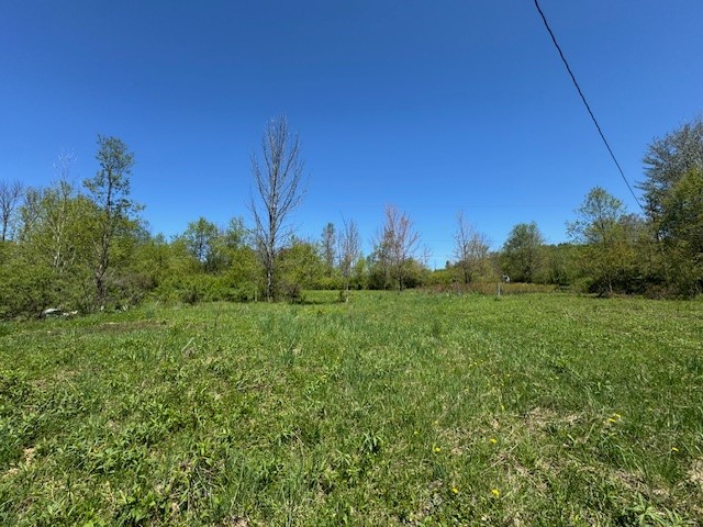 64 Olin Evans Road, Franklin, New York image 35