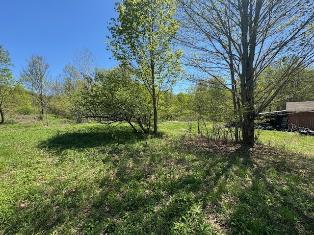 64 Olin Evans Road, Franklin, New York image 18