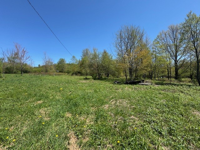 64 Olin Evans Road, Franklin, New York image 34