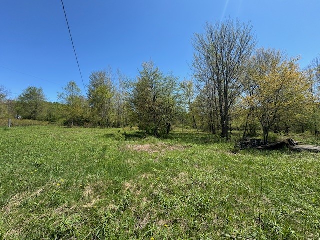 64 Olin Evans Road, Franklin, New York image 36
