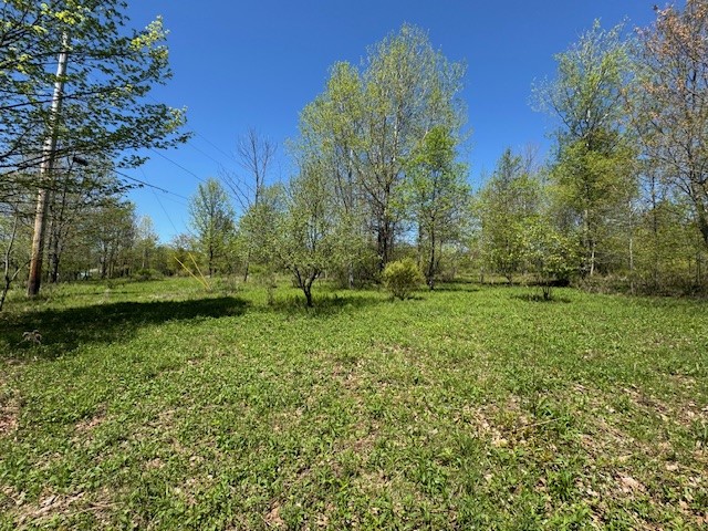 64 Olin Evans Road, Franklin, New York image 24