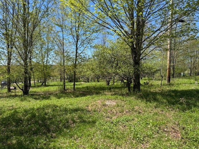 64 Olin Evans Road, Franklin, New York image 23