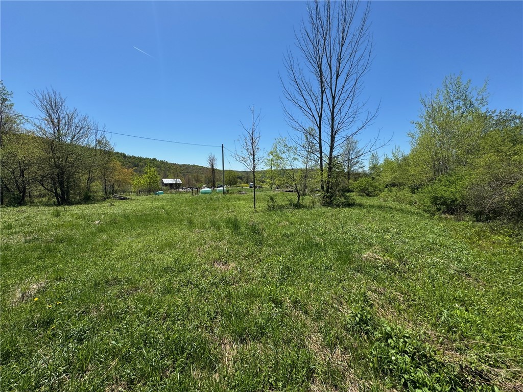 64 Olin Evans Road, Franklin, New York image 27