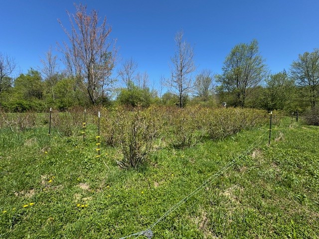 64 Olin Evans Road, Franklin, New York image 38