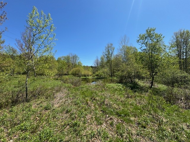 64 Olin Evans Road, Franklin, New York image 25