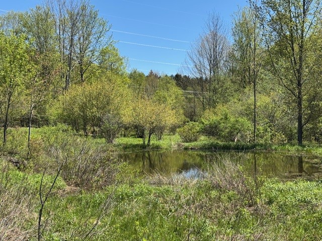 64 Olin Evans Road, Franklin, New York image 16