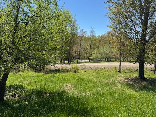 64 Olin Evans Road, Franklin, New York image 19