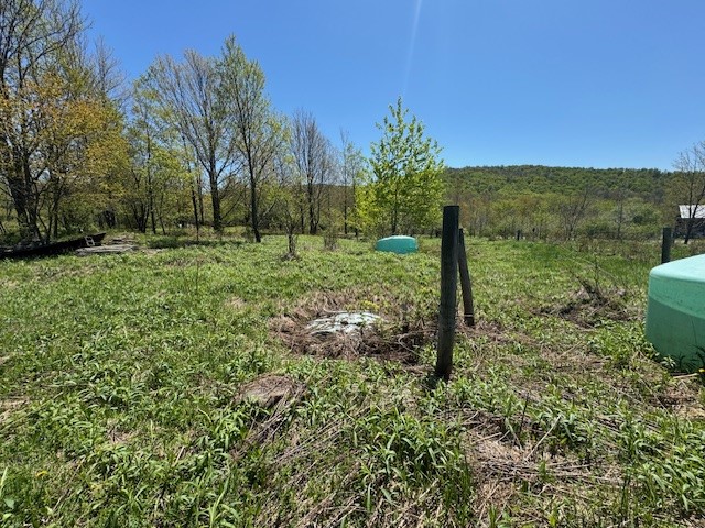 64 Olin Evans Road, Franklin, New York image 26