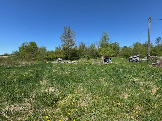64 Olin Evans Road, Franklin, New York image 29