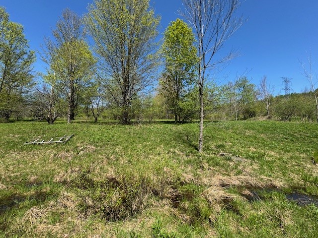 64 Olin Evans Road, Franklin, New York image 22