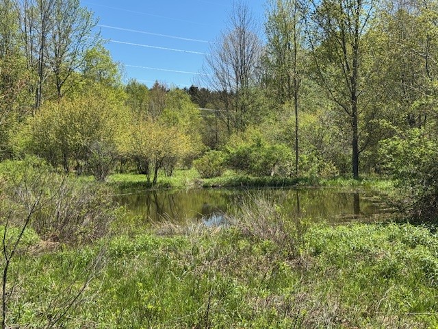 64 Olin Evans Road, Franklin, New York image 17
