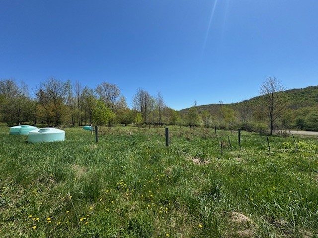 64 Olin Evans Road, Franklin, New York image 31