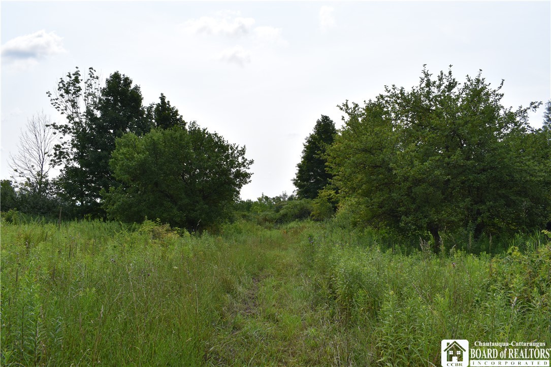 Foe Road, Dayton, New York image 40