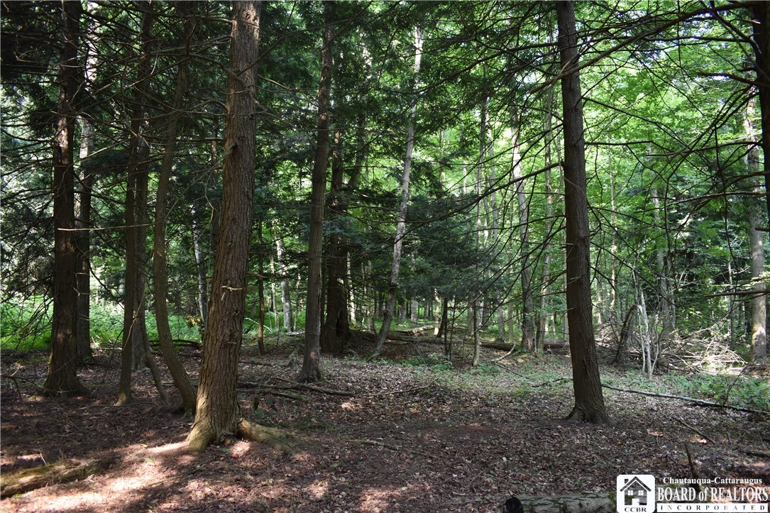 Foe Road, Dayton, New York image 24
