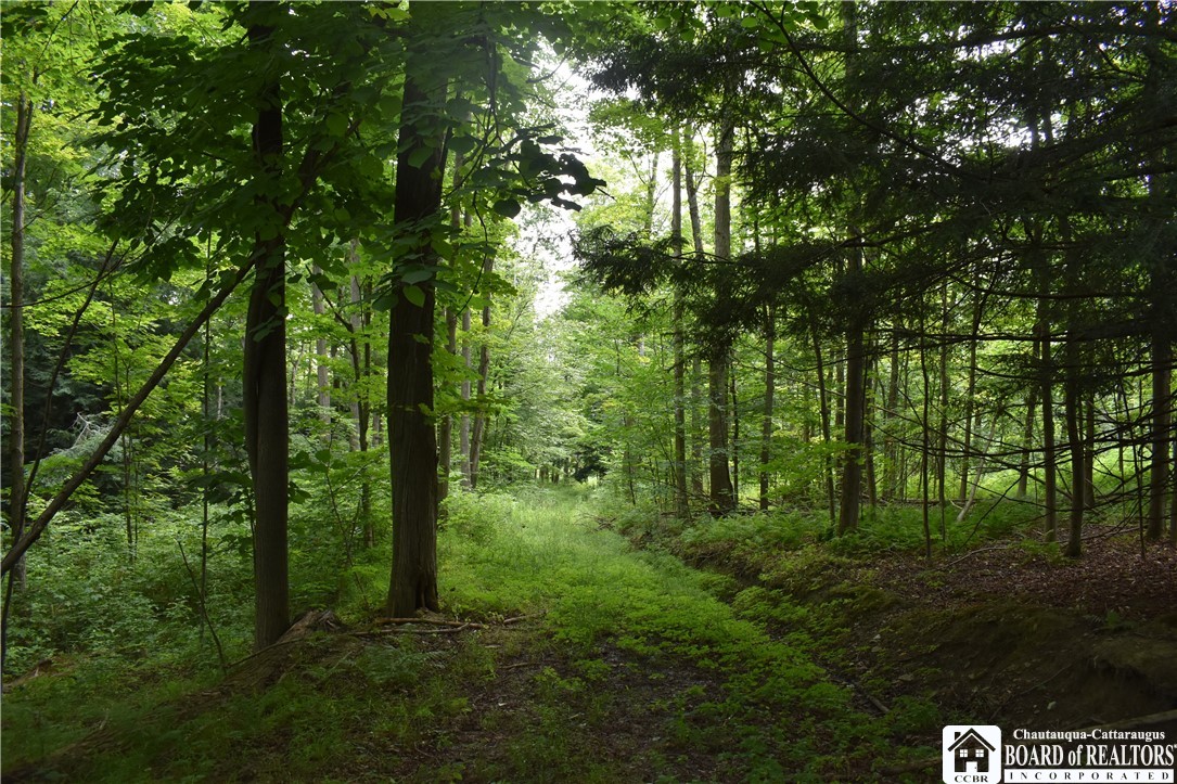 Foe Road, Dayton, New York image 34