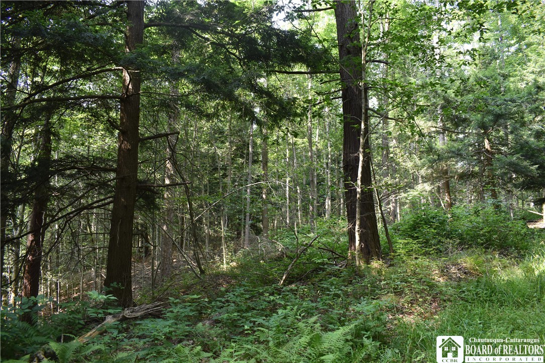 Foe Road, Dayton, New York image 26